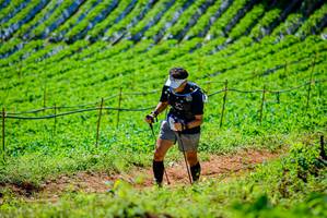 BIB: 
                            <button type="button" onclick="openModal(19163259)" class="btn btn-primary btn-sm float-right btn-popup" data-toggle="modal" data-target=".modal-high-quality">
                        <i class="fas fa-shopping-cart"></i> Add to Cart
                    </button>
                                            <button type="button" onclick="isThisMe(19163259, true)" class="btn btn-success btn-sm float-right btn-popup btn-isme hidden" data-toggle="tooltip" data-placement="bottom" title="นี่คือรูปของคุณใช่ไหม คลิกที่นี่เพื่อเอาเข้าอัลบั้ม">
                        <i class="fas fa-plus"></i> Add to album
                    </button>
                    <button type="button" onclick="isThisMe(19163259, false)" class="btn btn-warning btn-sm float-right btn-popup btn-isnotme hidden">
                        <i class="fas fa-ban"></i> Remove from album
                    </button>